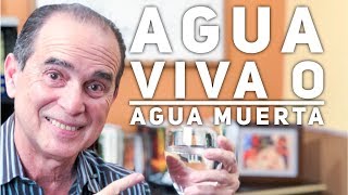 Episodio 1383 Agua Viva o Agua Muerta [upl. by Orsini375]