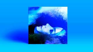 Björk  Biophilia Live CD 2 Full Album [upl. by Elbert]