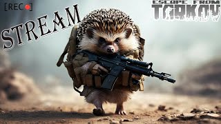 🔴Tarkov Как ВАЙП Куда ВАЙП Когда ВАЙП Сливаем схрон Рейды  квесты  фан  stream [upl. by Vivien]