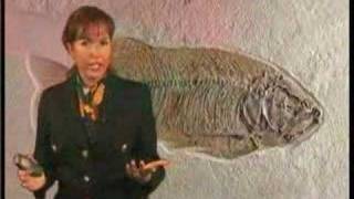 FOSSILS HAVE DISCREDITED EVOLUTION UNCENSORED Muslim Video [upl. by Simmonds]