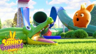 Crocodile Escape  SUNNY BUNNIES  Cartoons for Kids  WildBrain Zoo [upl. by Ojiram]