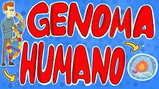 O que é o genoma humano [upl. by English]