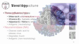 Influenza Epidemiology and Viral Structure [upl. by Rodl]