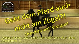 F84 Dein Pferd geht nicht durchs Genick und nicht am Zügel Reiterfehler bei Anlehnungsproblemen [upl. by Inod]