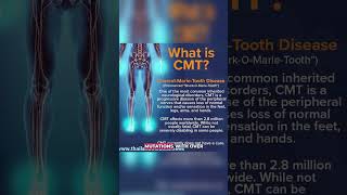 Key Insights into the Causes of Charcot Marie Tooth Disease shorts shortsfeed youtubeshorts [upl. by Hoeg]