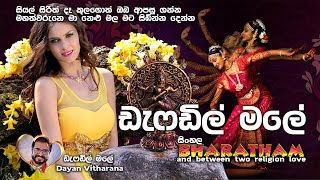 ඩැෆඩිල් මලේ  DAFFODIL MALE  DAYAN VITHARANA  4 TEACHERS ENTERTAINMENT [upl. by Brockwell]