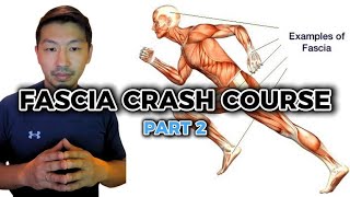 Introduction to Fascia Training Crash Course Part 2 of 4  Hyperarch Fascia Training [upl. by Hewie]