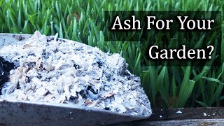 Ash For Your Garden  4 Ways To Apply It Properly [upl. by Godwin]