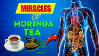 8 LifeChanging Benefits of Daily Moringa Tea You Should Know [upl. by Ahcsas608]