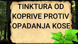 TINKTURU OD KOPRIVE PROTIV OPADANJA KOSE LAKO MOŽETE NAPRAVITI I SAMI  Recept [upl. by Nylatsyrc]