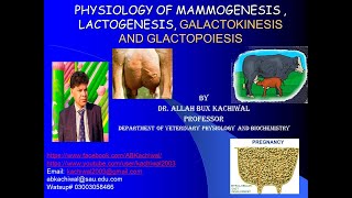 PHYSIOLOGY OF MAMMOGENESIS  LACTOGENESIS GALACTOKINESIS AND GLACTOPOIESIS [upl. by Anavoig]