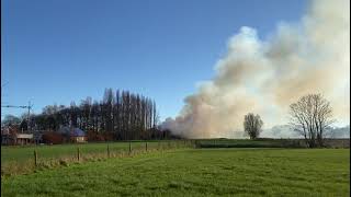 Loods met kippen volledig uitgebrand in Anzegem [upl. by Ayrb]