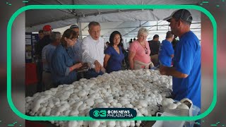 Kennett Square Mushroom Festival kicks off with extra security [upl. by Pentha]