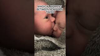 ✨Magical✨ I would birth twins to see this 🥹 SOUND ON [upl. by Tabitha406]