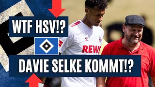 HSV Davie SELKE kommt ICH RASTE AUS [upl. by Ttessil]