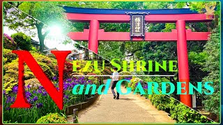 Nezu Shrine and Gardens Nezu Shrine Tokyo Japan [upl. by Atileda127]