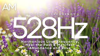 Love Resonance The Miraculous Effects of 528 Hz Solfeggio Frequency [upl. by Eillehs]