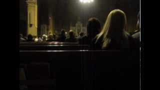 Psalm 104  Lord Send Out Your Spirit  Joe Zsigray Easter Vigil 2013 [upl. by Oby]