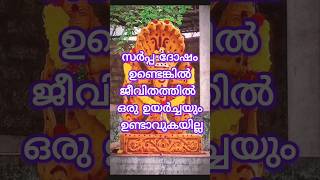 സർപ്പ ദോഷമുള്ള നക്ഷത്രങ്ങൾastrology shortsfeed shorts [upl. by Malamut]