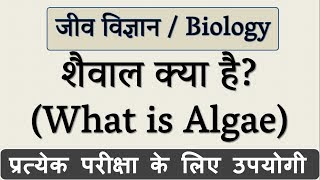 शैवाल क्या है  What is Algae in Hindi  जीव विज्ञान Biology  Science Gk in Hindi [upl. by Nitsug]