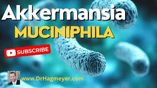 Low Levels of Akkermansia Muciniphila Heres What You Need To Know To Fix It [upl. by Gibbon482]