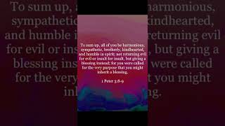 Do NOT Revenge bibleverse bibleverseoftheday verseoftheday verse bible shortsfeed 1peter3 [upl. by Ylsel]