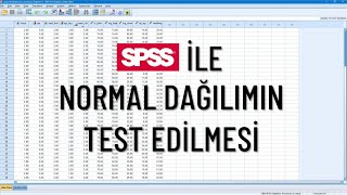 SPSS İle Normal Dağılımın Test Edilmesi  Dört Farklı Yoldan Baştan Sona Tüm Detayları İle [upl. by Sile]