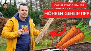 Möhren Aussaat mit 100 Keimgarantie Mein Geheimtipp [upl. by Handel905]