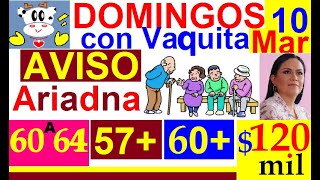 DOM CON VAQUITA AVISO ARIADNA NUEVO 60 A 64 MUJERES 57 60 ADULTOS MAYORES 120000 JOVENES CDMX [upl. by Ardnoel]