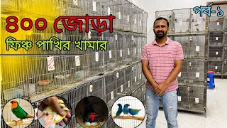 ৪০০ জোড়া ফিঞ্চ পাখির খামারফিঞ্চ পাখির লালন পালন পদ্ধতিBiggest Finch Bird Farm in Bangladesh [upl. by Latsryk621]