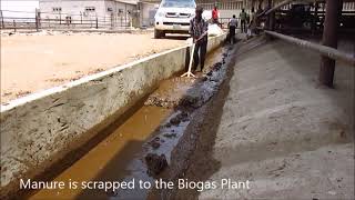 Biogas Plant at Sebore Farms [upl. by Imekawulo]