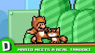 Mario Meets a Real Tanooki [upl. by Kapeed]