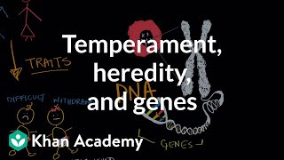 Temperament heredity and genes  Behavior  MCAT  Khan Academy [upl. by Okiron]