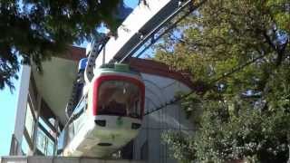 上野動物園モノレール Ueno Zoo Monorail Train [upl. by Fulmis]