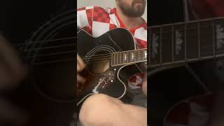 The Libertines  Night of The Hunter Acoustic Cover [upl. by Yenial]