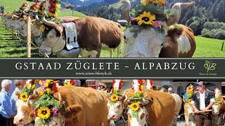 Gstaad Züglete  Alpabzug Gstaad  Berner Oberland  Schweiz  reisenlifestylech [upl. by Bratton]