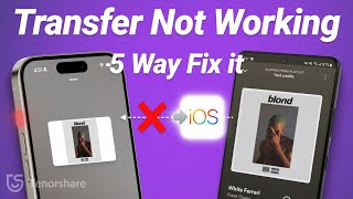 How to Fix Data Transfer Cannot Be Completed on iPhone 12 Not Enough Storage [upl. by Nitsuj102]