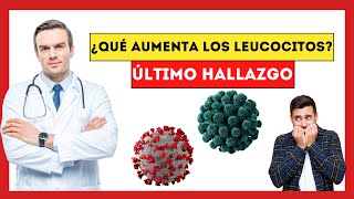 La Conexión Secreta entre Glóbulos Blancos y Enfermedades Fatales [upl. by Aivek]