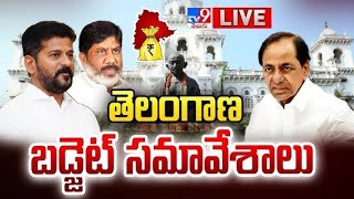 Telangana Assembly LIVE  Telangana Budget 2024  CM Revanth Reddy  KCR  TV9 [upl. by Ahsiaa]