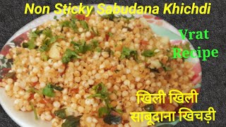 Street Style Sabudana Khichdi  साबूदाना खिचड़ी बनाने का आसान तरीका  Vrat Ka Khana  Sago Khichdi [upl. by Draper]