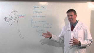 Treatments for Kidney Tumors  Kenneth Nepple MD [upl. by Aushoj174]