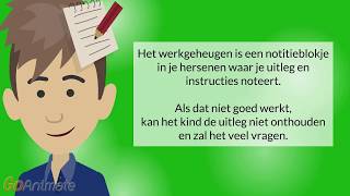 ADHD  ADD en je werkgeheugen  executieve functies [upl. by Yllehs]