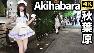 【4K60】Akihabara Maid Heaven Cute Maids Galore 秋葉原はメイド天国！？ [upl. by Ahseuqram966]