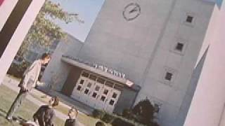 Woodrow Wilson High School  Gone Forever [upl. by Shulamith853]