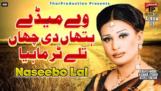 Naseebo Lal  Ve Meda Hathan Di Chaan Tale  Tedi Judaiyan  Album 9 [upl. by Ahsiemac25]