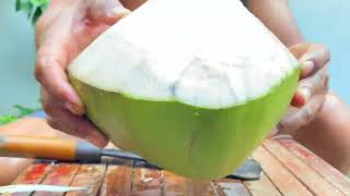 Good peelings coconut fruit coconut [upl. by Syst]