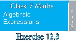 Exercise 123  Algebraic Expressions Class7 Maths NCERT Chapter7 Solution amp Explanation [upl. by Hallam]