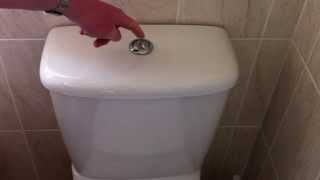 How To Fix A Wasteful Over Filling Dual Push Button Flush Toilet [upl. by Coppinger416]