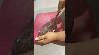 How to Get Inside of a Cacao Pod foodblogger plantbased chocolate [upl. by Coyle]