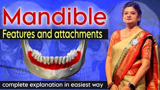 Mandible  Bones of Skull  anatomyateasiest3301  Isha Srivastava  Osteology ll [upl. by Bouchier]